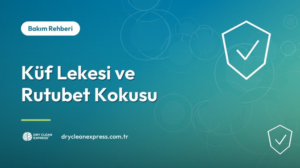 Dolapta oluşan küf lekesi ve rutubet kokusunun giderilmesi